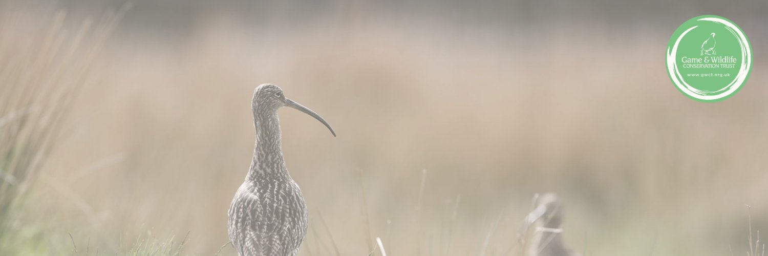 Gameandwildlife's profile banner image