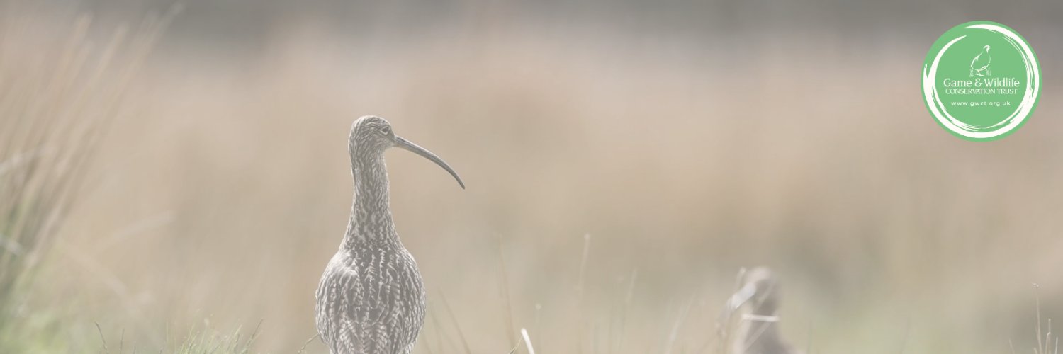 The Game & Wildlife Conservation Trust Profile Banner