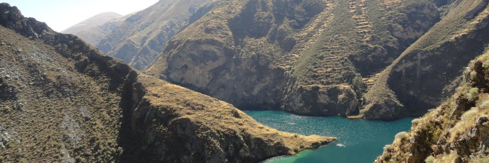fabiolabera's profile banner image