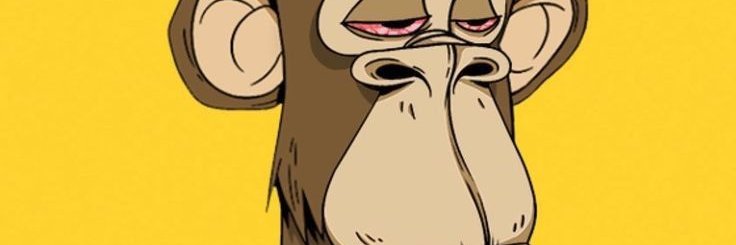 NancyAdamsah's profile banner image