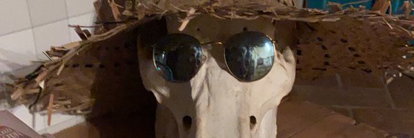 Angrybird Profile Banner