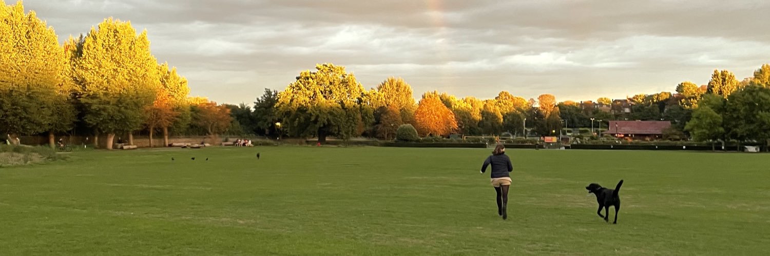 Oriol Valldeperas banner