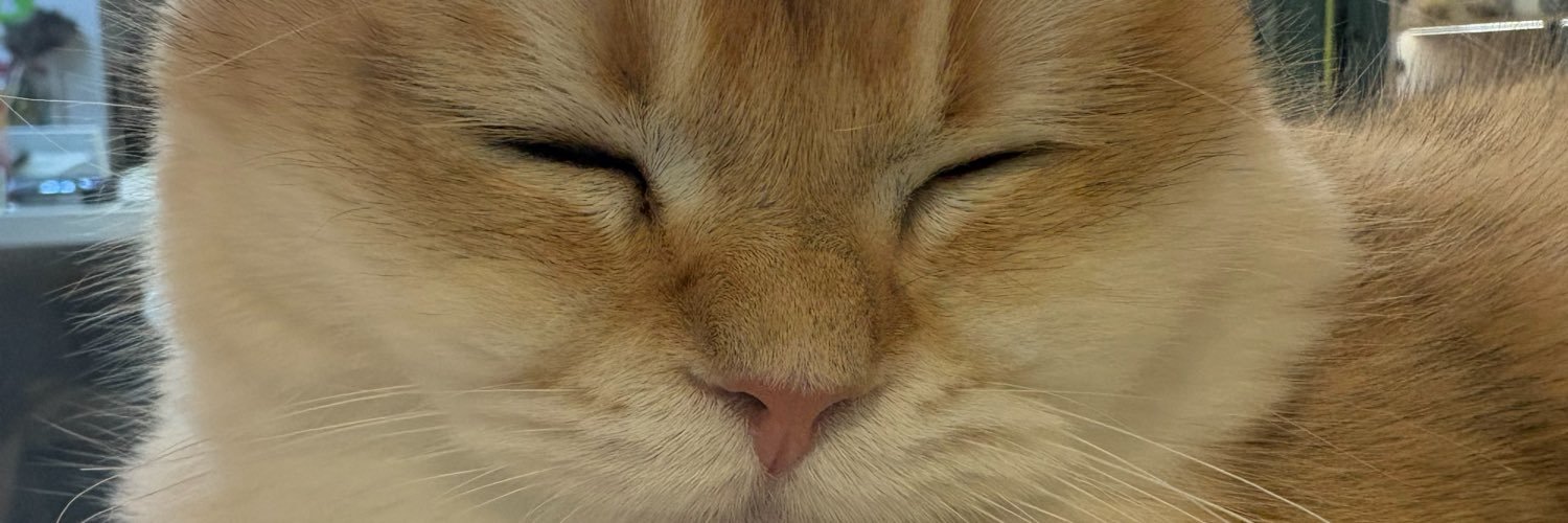ccbbdxmg's profile banner image