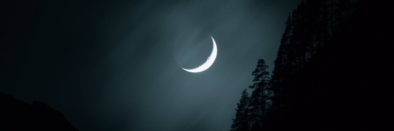 guccileex's profile banner image
