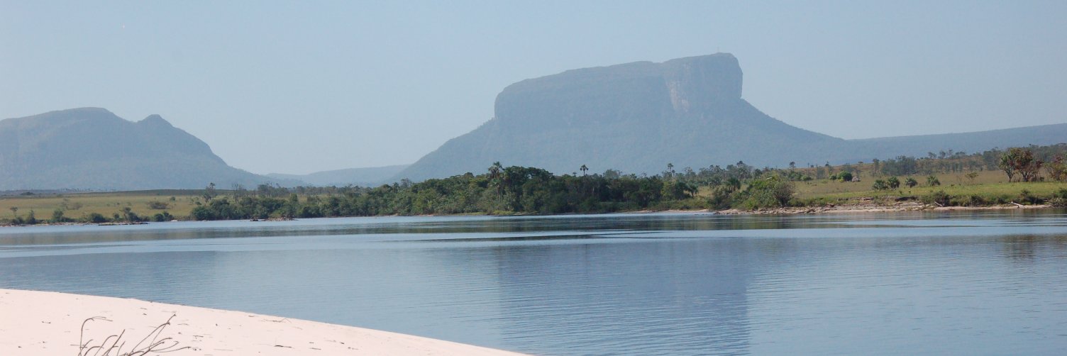 onemarializo's profile banner image