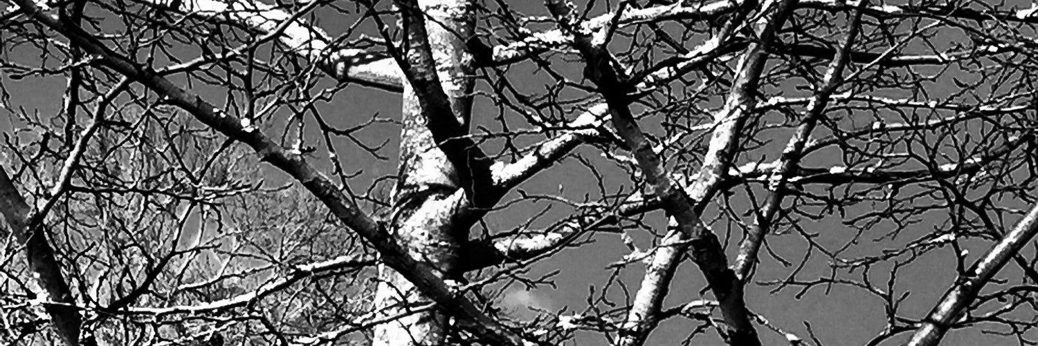glenndrain's profile banner image