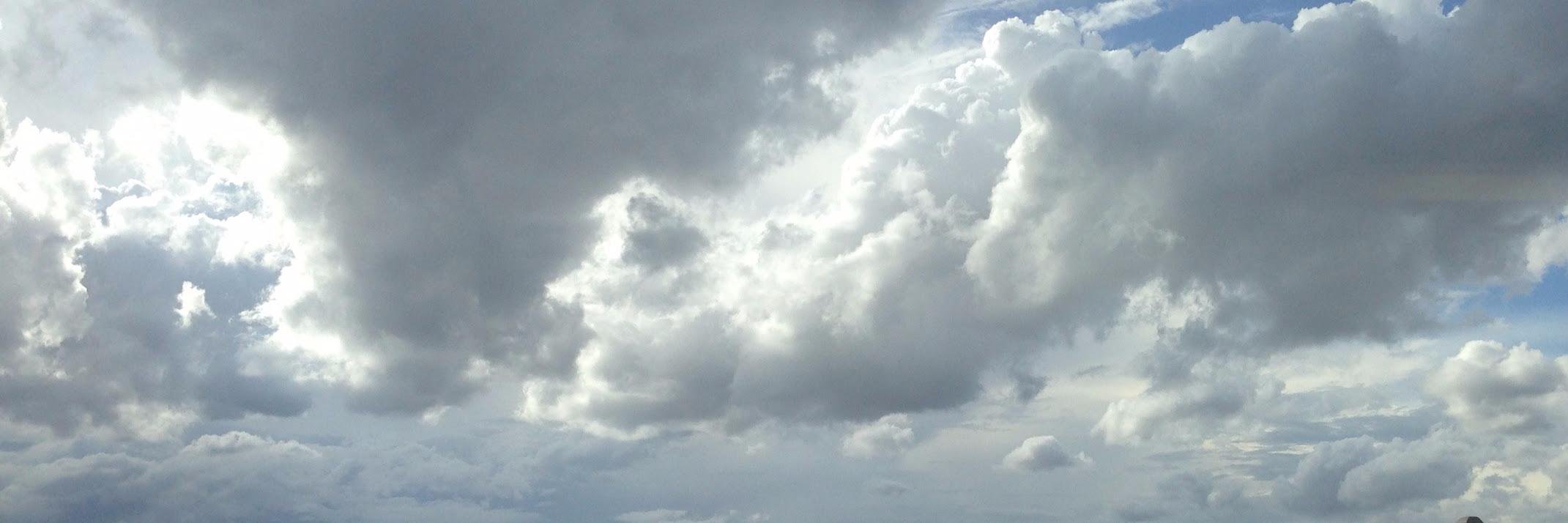 Franny Philos Sophia banner