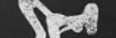 Mevsyou78's profile banner image