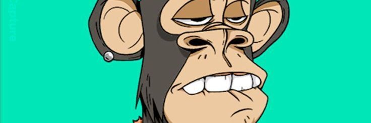 SusanNguyewyf0's profile banner image