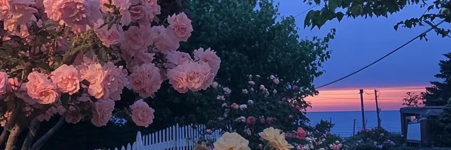 dawn92rs5's profile banner image