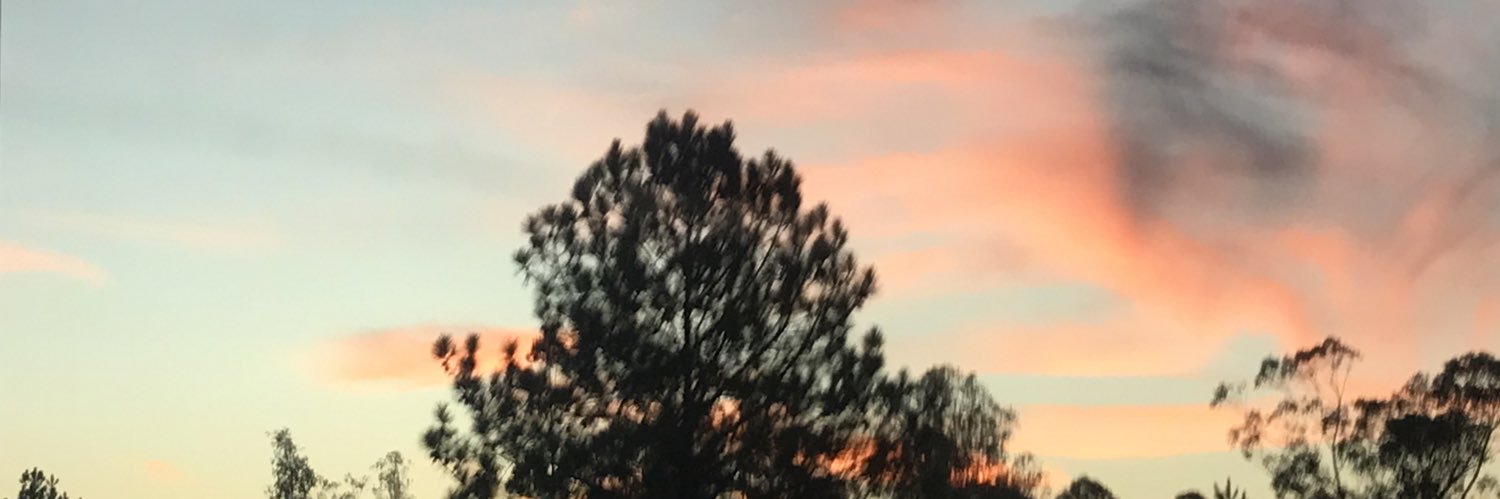 dudacurcio's profile banner image