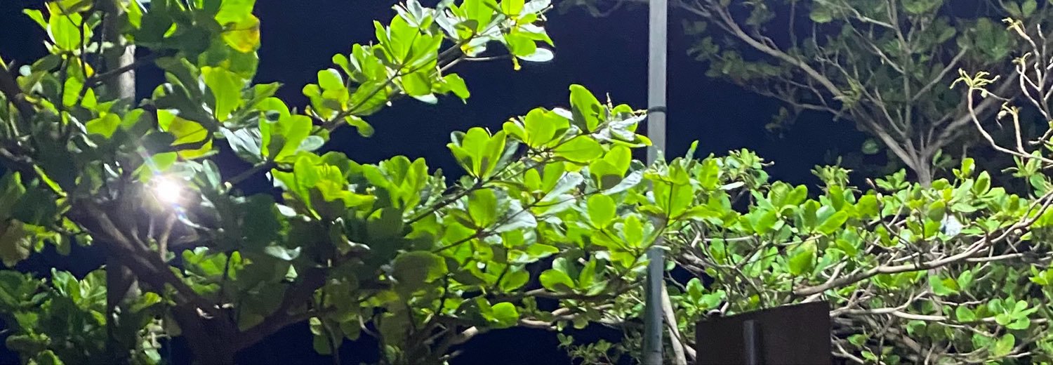 rllbnc's profile banner image