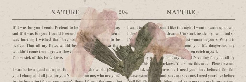 mo 🪷 banner