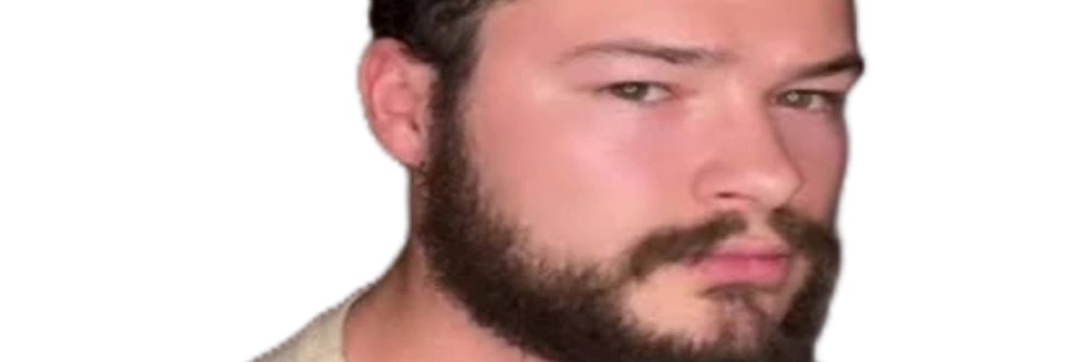 DragoonLM's profile banner image