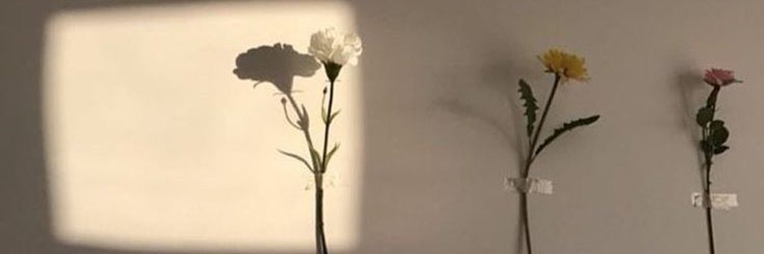 umataldeCeline's profile banner image