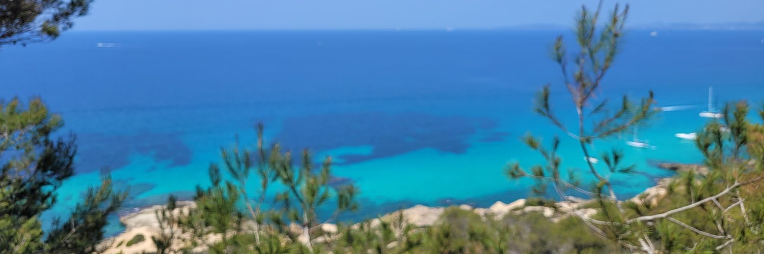 melissancfc's profile banner image