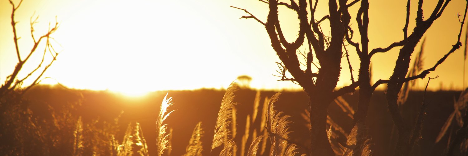 SolonIJRNeto's profile banner image