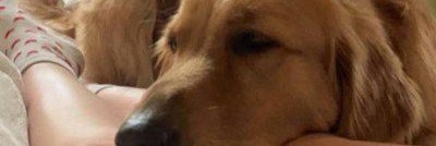 Knottylily28's profile banner image