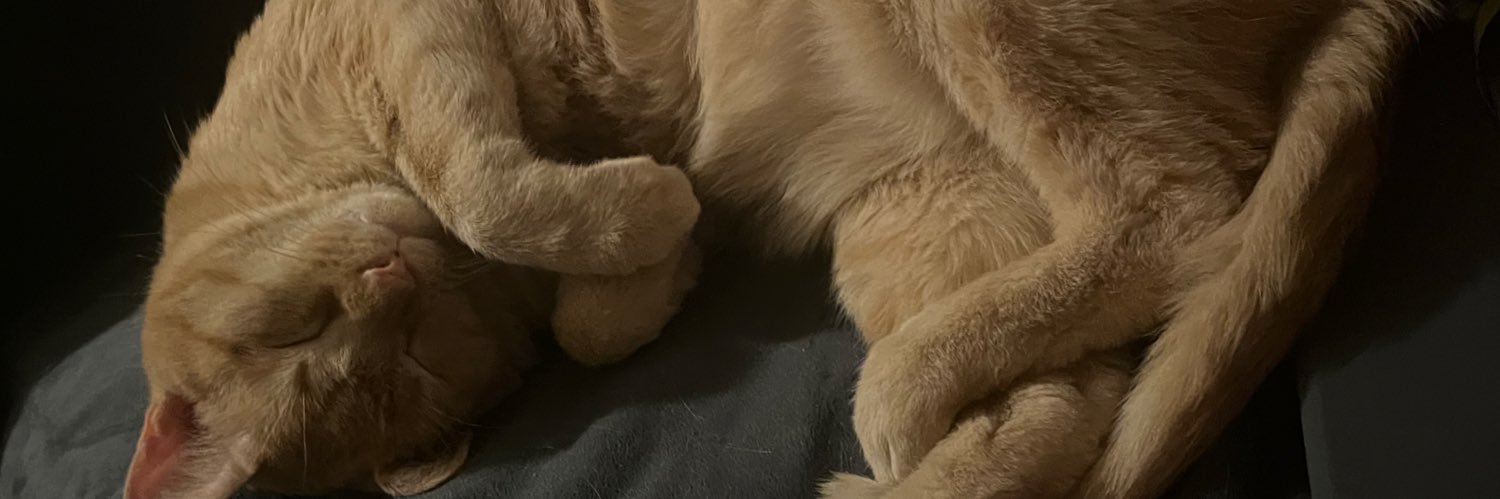 mrevanthecat's profile banner image