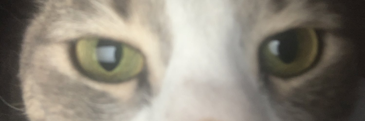 SasCapt's profile banner image