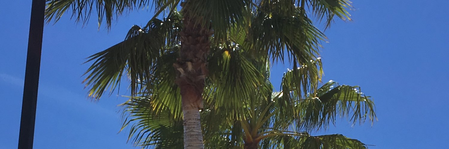 farahhus's profile banner image