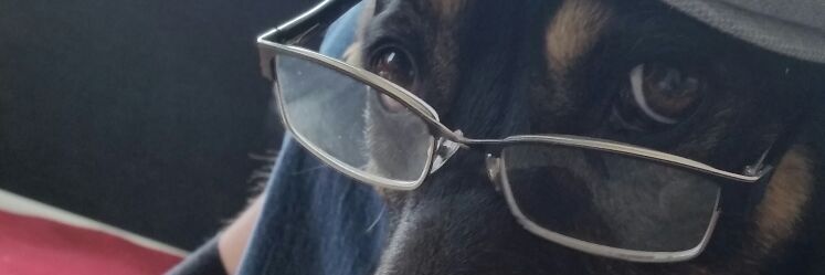 Bucks_Bear's profile banner image