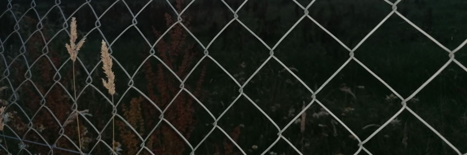 Daniel Luke banner