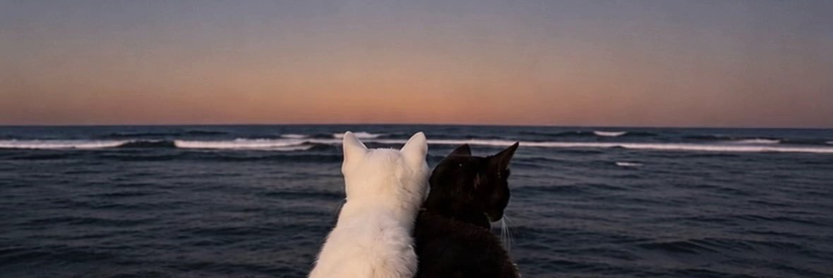 aquariutz's profile banner image