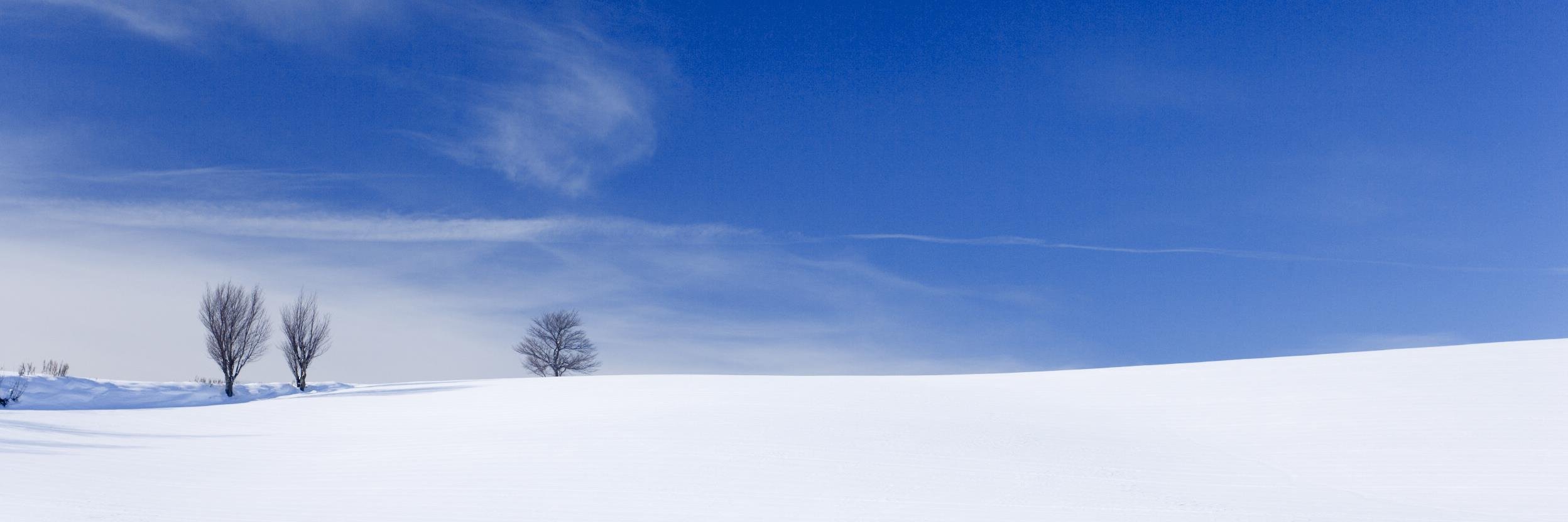 スキー場情報局 banner