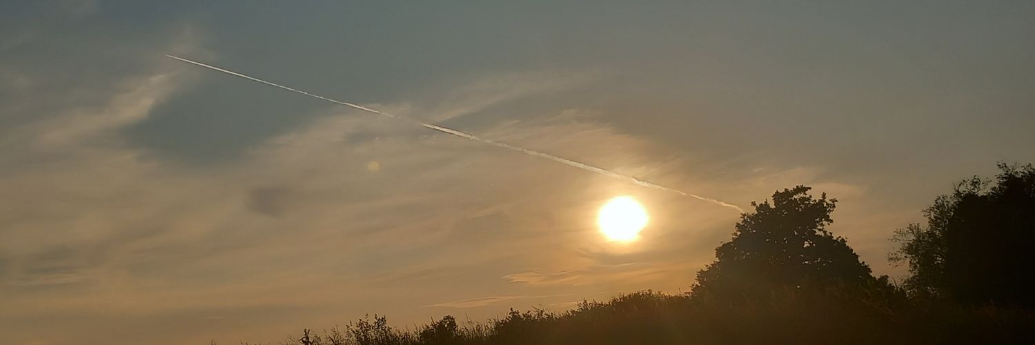 Ralium Voxí, 🐤 - 🌝 banner