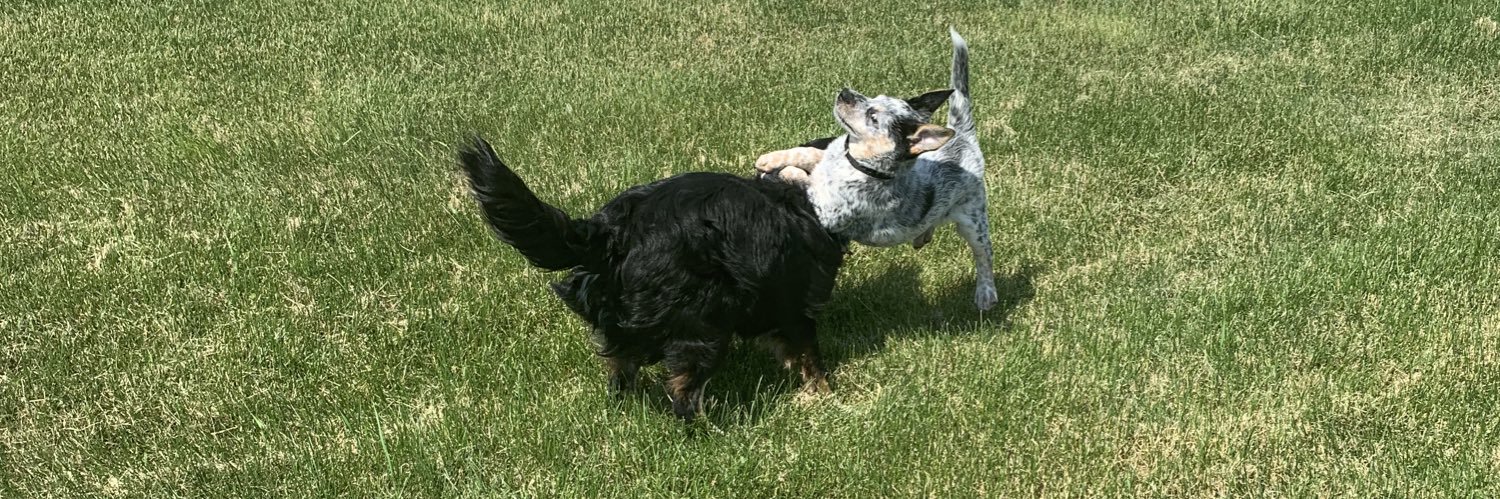 LAdelsberger's profile banner image