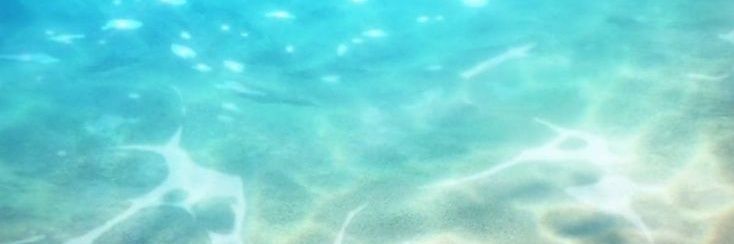 munoyaho's profile banner image