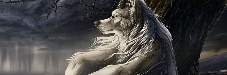 ikyiu_owo's profile banner image