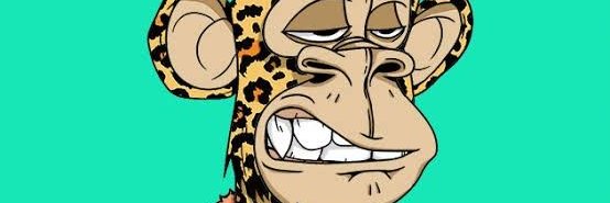JenniferLetr's profile banner image