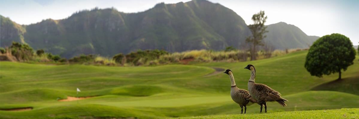 Puakea Golf Course banner