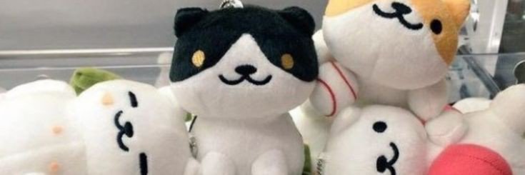 Lanach8e's profile banner image