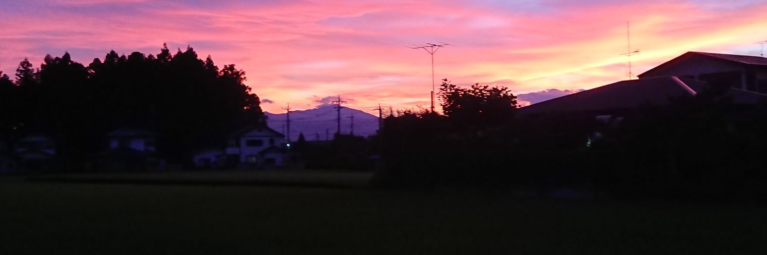 sneprinsesse's profile banner image