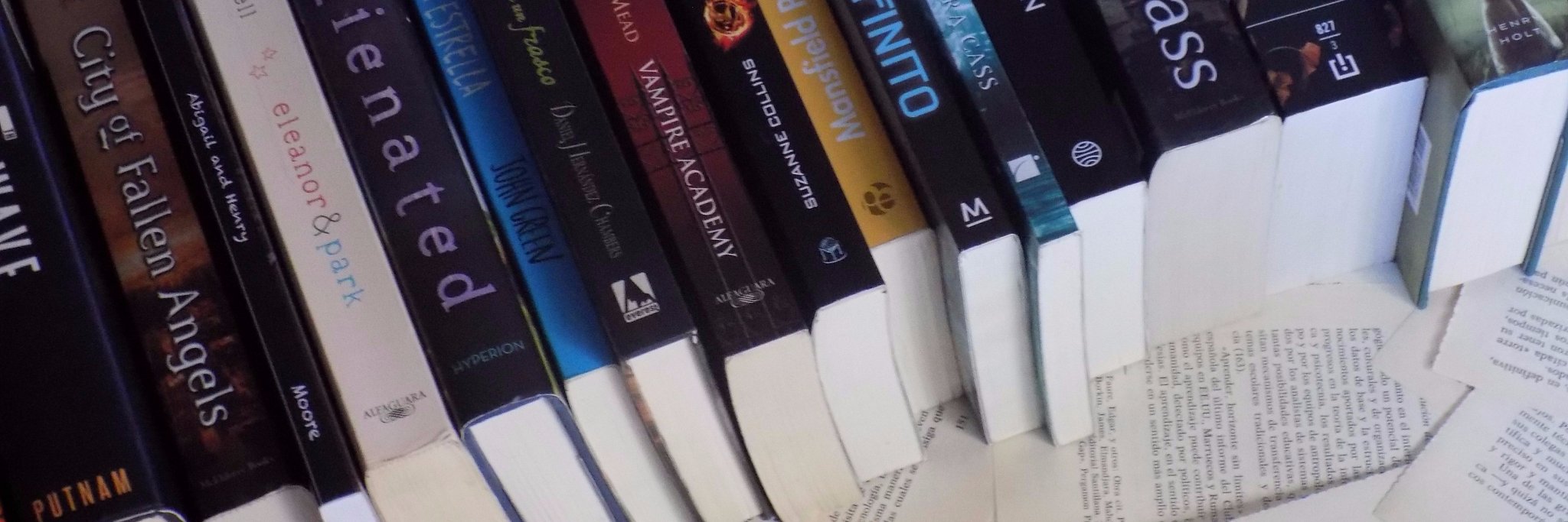 PerfectInBooks's profile banner image