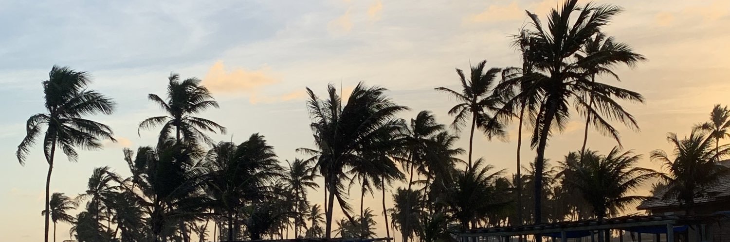 gabirelex's profile banner image