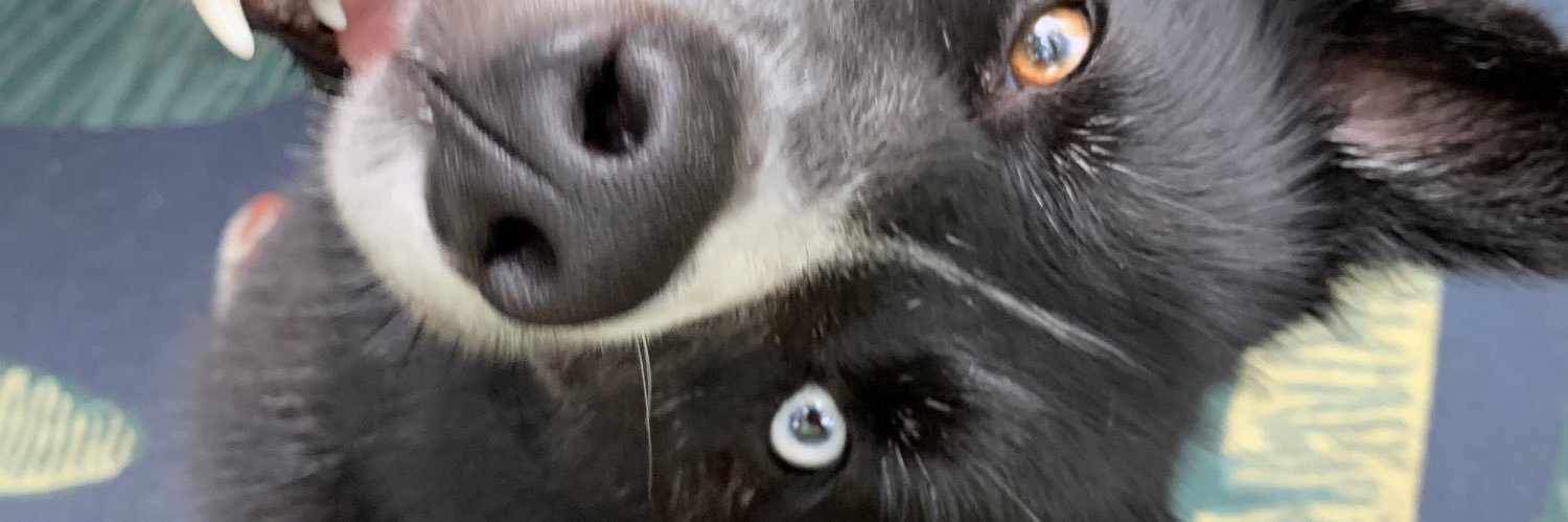 AzkaDamnn's profile banner image