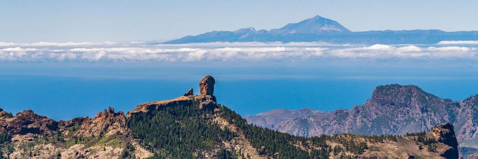 Barrilete Cómico banner