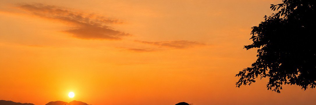 NetzBiasa's profile banner image