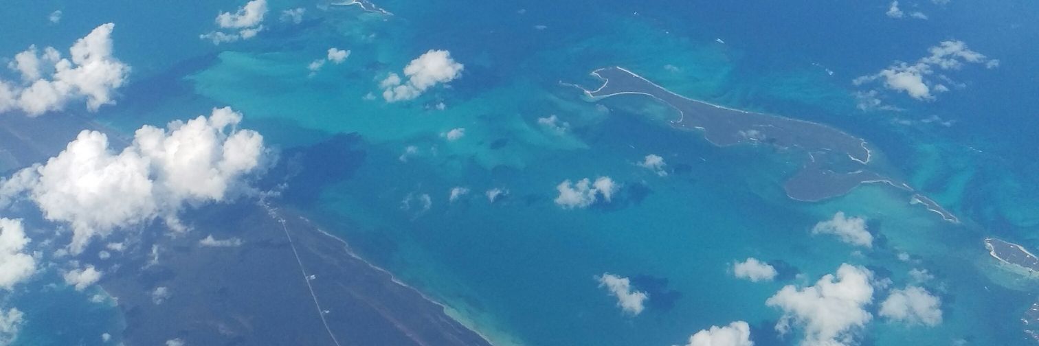 pdelicious © banner