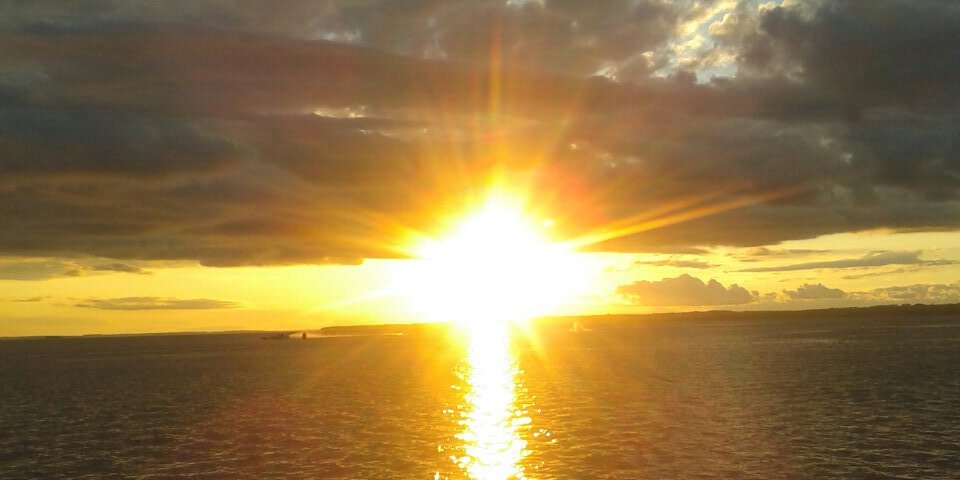 LoCareaga's profile banner image