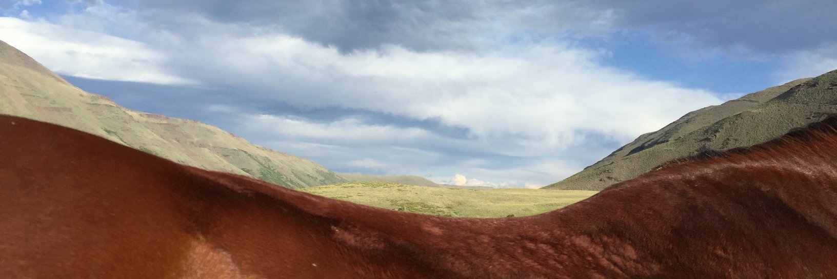 sarahaag's profile banner image
