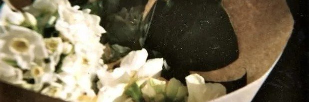 inthiislife's profile banner image