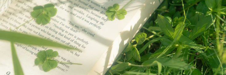lelai ✧ banner