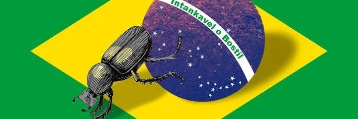 Vaca Perplexa 🇺🇦 banner