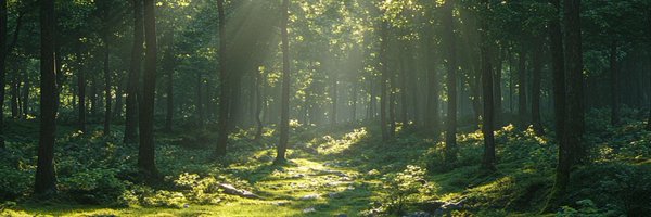 Stonedpipez Profile Banner