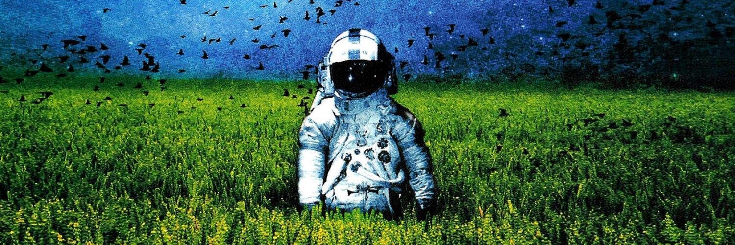 _I3IRD_'s profile banner image